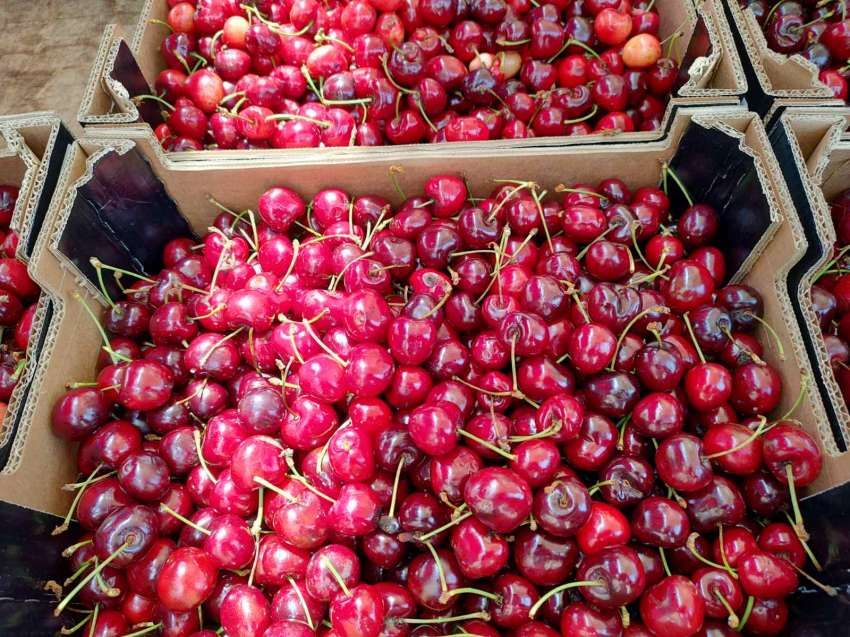 ��������� � ����� ����� �� �������: ����� ������ �������� ������ ���� �� ���������