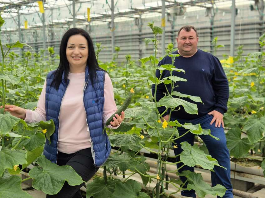 ������ ������ ������ 60% � �����������������������, �������������� �������