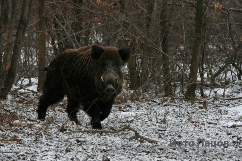 ������� ����: ���� ����������� �������� �� ������� ��� ���� �� 0,57 ��./��