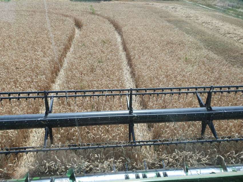 ���������� �� 2025/2026 �.: �������� ������� �� �������, �� ��-����� �������