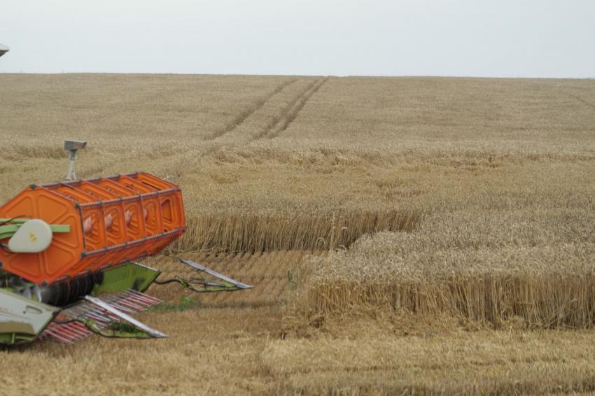 ���������� �� 2025/2026 �.: �������� ������� �� �������, �� ��-����� �������