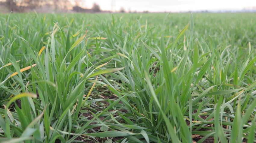 ��������� � �������� ��� ������� �� �������� ��-����� �� ���������� 