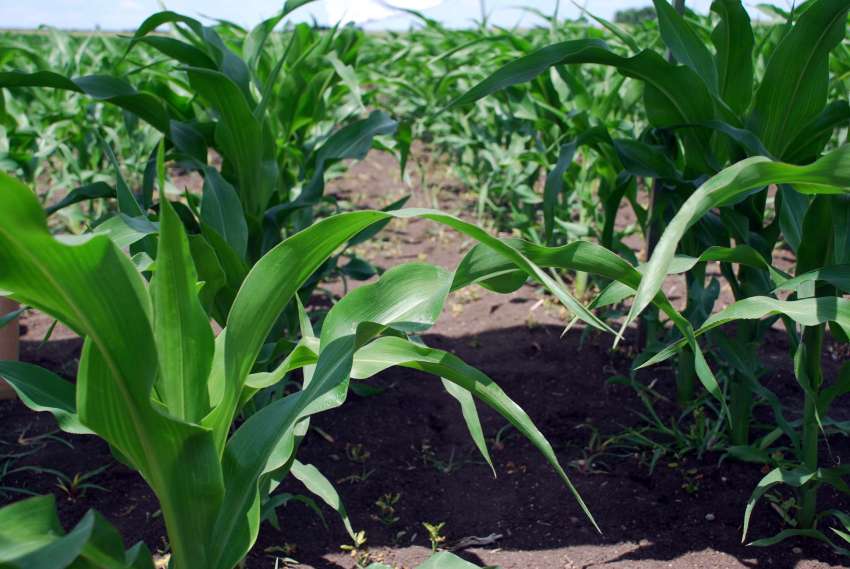 ��������� ���� � ������� ������� �� ����� � ������������ ������� � ��������