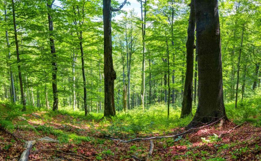 ������� � �������� �������� ��������� �� ������ � ������