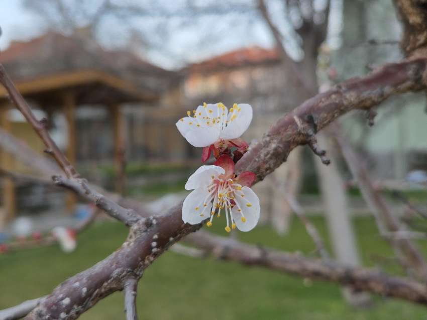 ������������ ��� ��������� ���� 2025 �. �� ������� �� ���� ��������