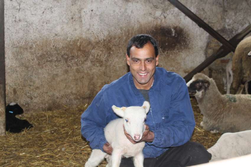 �������� ��� ���� ����: ��� ���������� �� ������� �� �������