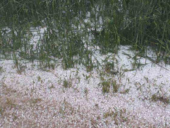 ������� ����� �� ��������� �� ����������� � ��������������