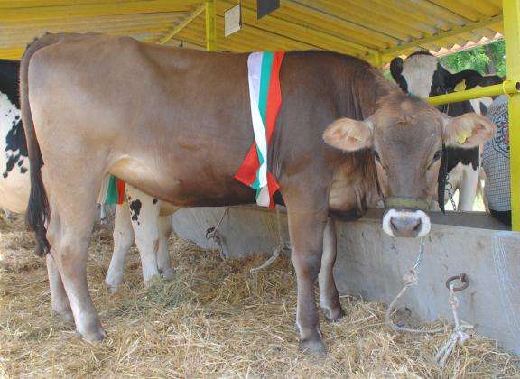 ��� � 205 ��������: ��� �� ���-������� ���������� ������� ���� 2025�2026 �.