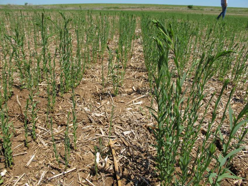 ��� ������ ������� �������� �������������� ���������