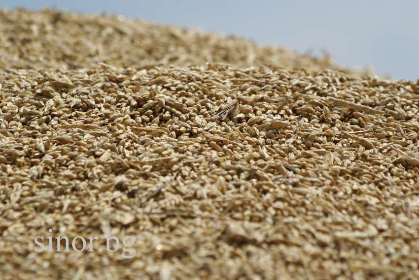 �������� ������� �� ������� � ������ ���� 2026/27 �.