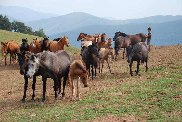 ������ ����� �� ����� ����������� ����� � ���������� ��� ������ ������� 