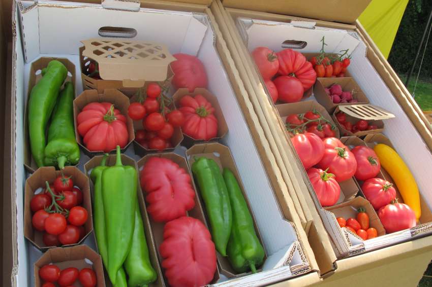 ��������� ����������� 2025: ������ ������ �� ������� � ���������