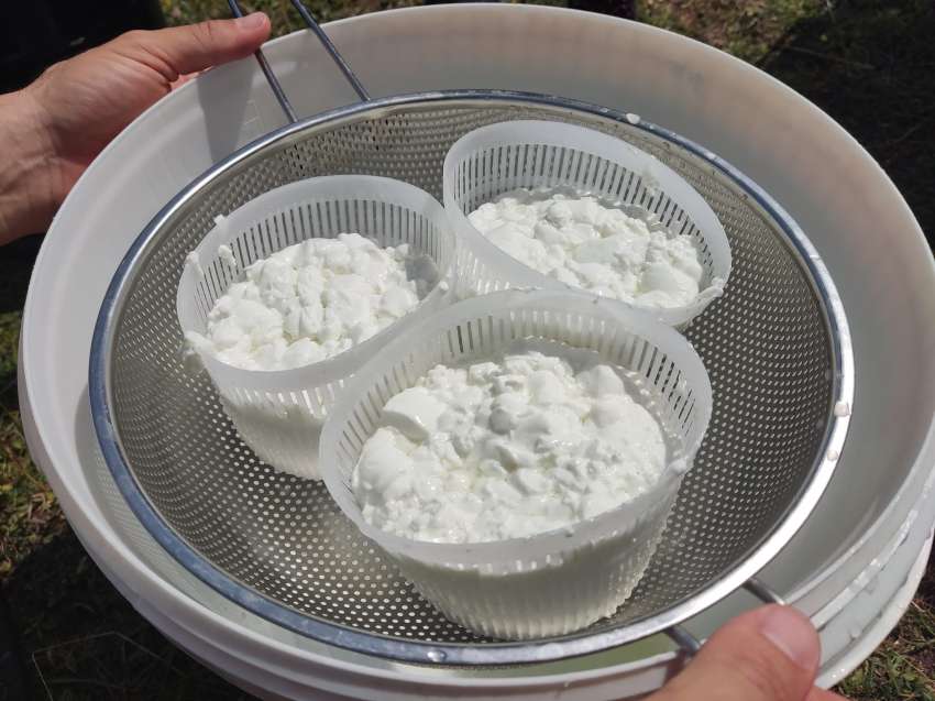 ��������� ��������� �� ����� �� ������� �� ���������� �� 15-� � �� 29 ���