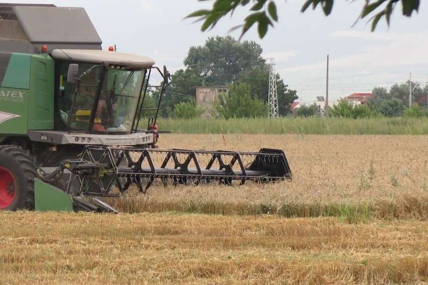Жътвата на ранното зърно и рапица в Украйна е пред приключване