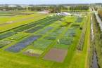 Syngenta ����� 900 ����������� �� ����������� �� ����������� Fields of Innovation 2026